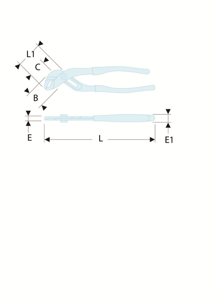 113A-10C-TD1.png (img_2985_2)