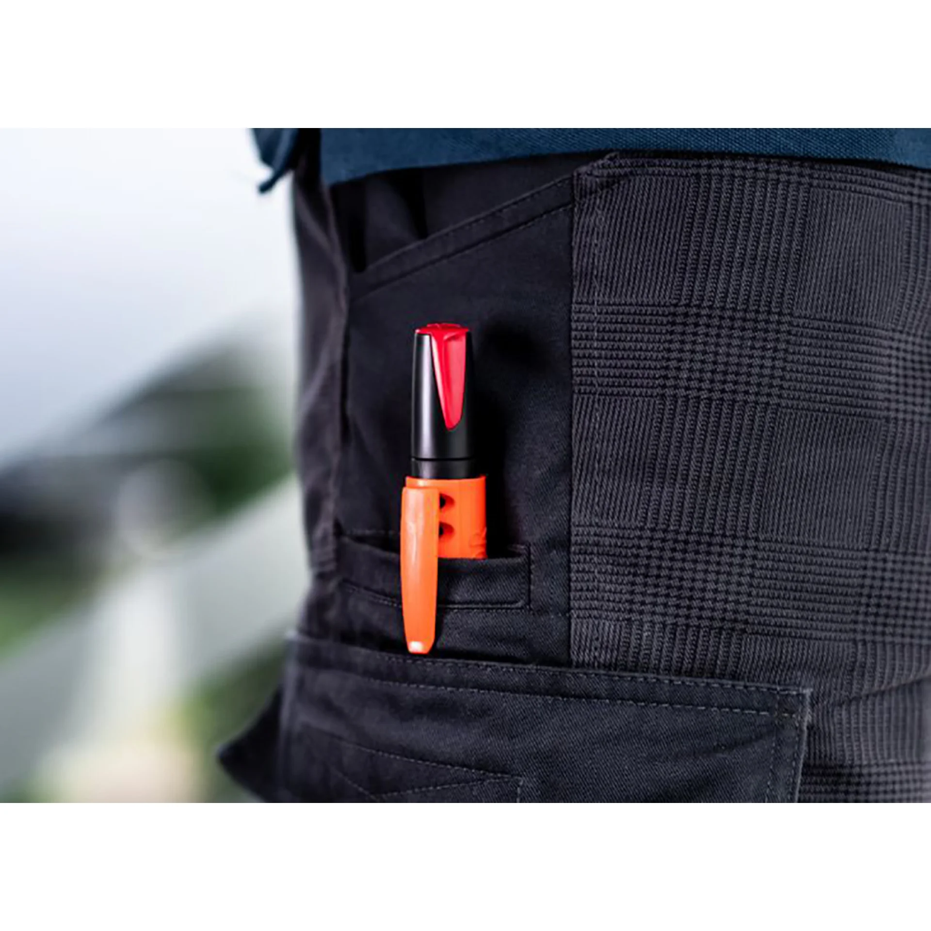 PI99046-2.webp (img_377_1)