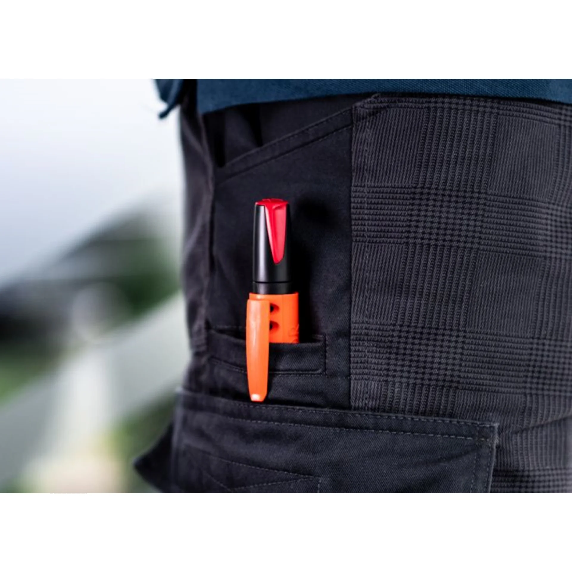 PI99040-2.webp (img_378_1)