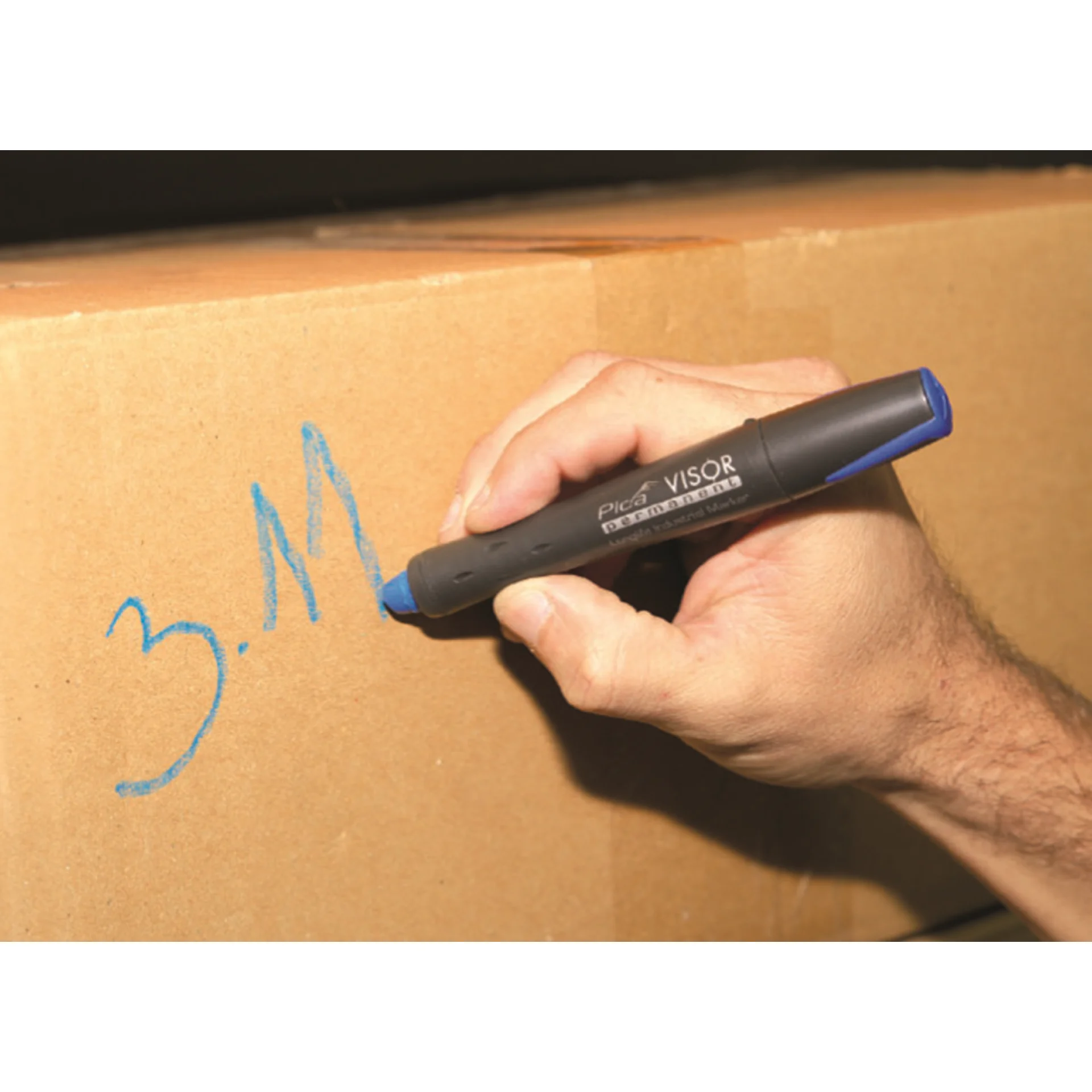 PI99144-4.webp (img_384_3)