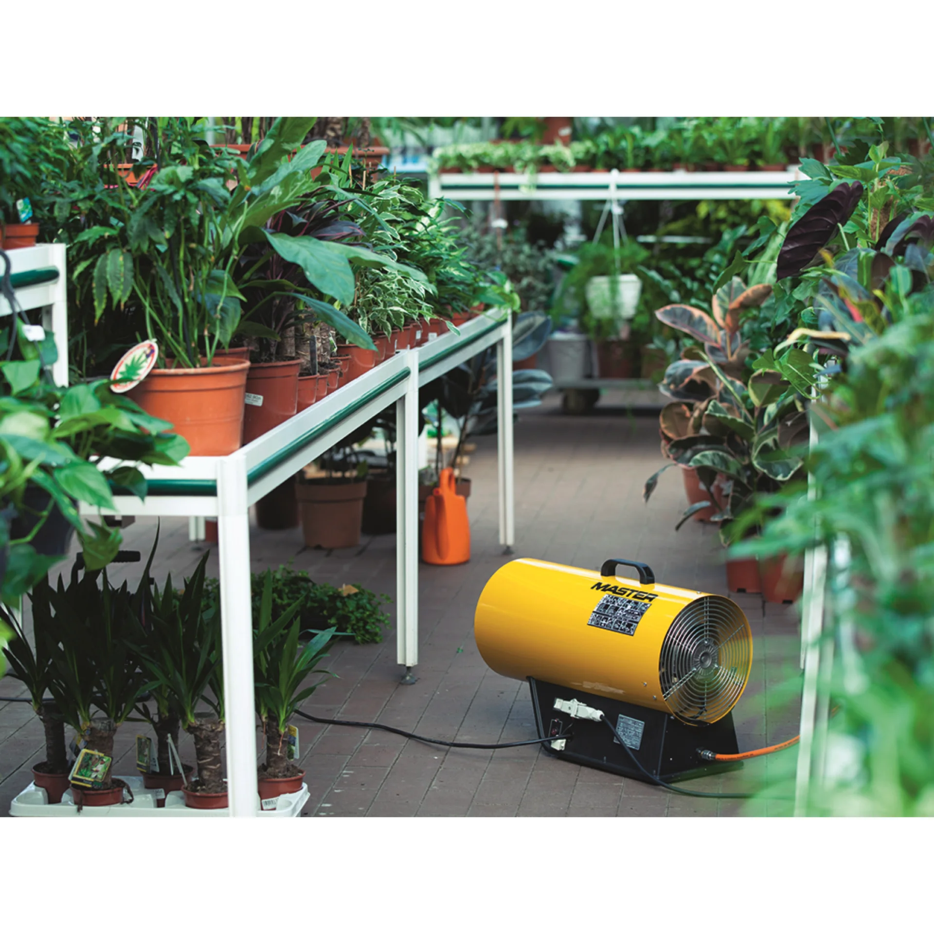 BLP33M-B-3.webp (img_402_2)