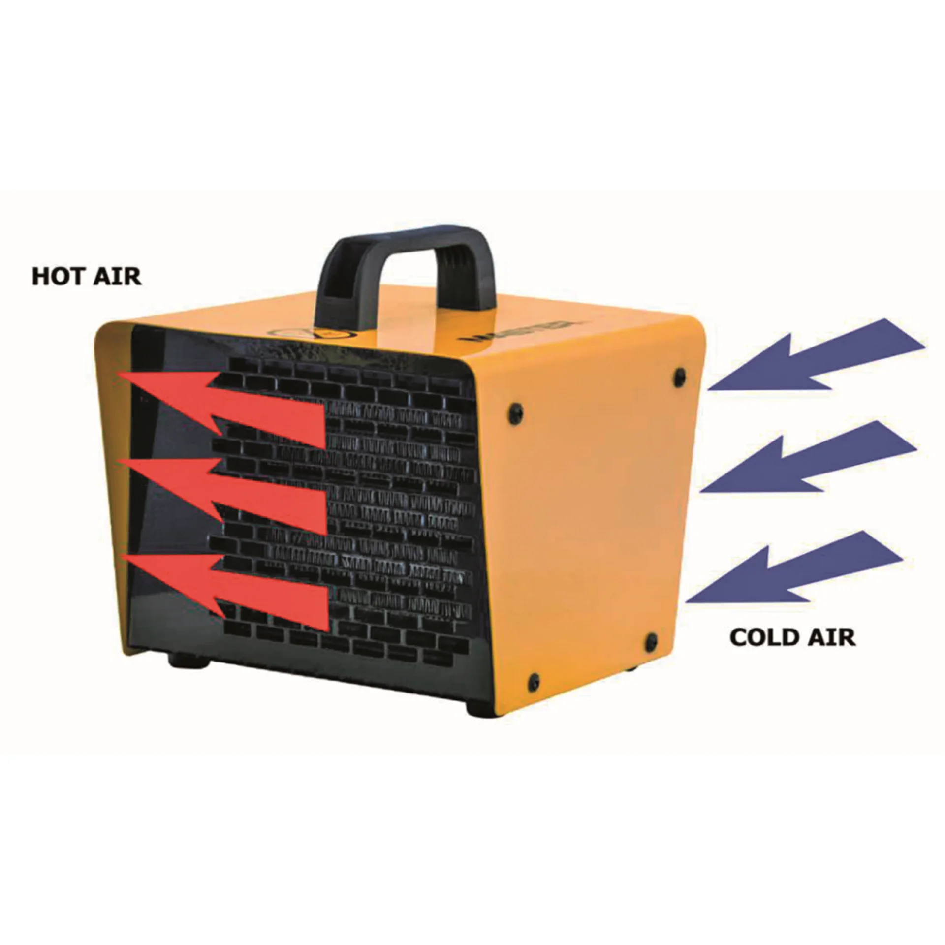 B2PTC-2.webp (img_413_1)