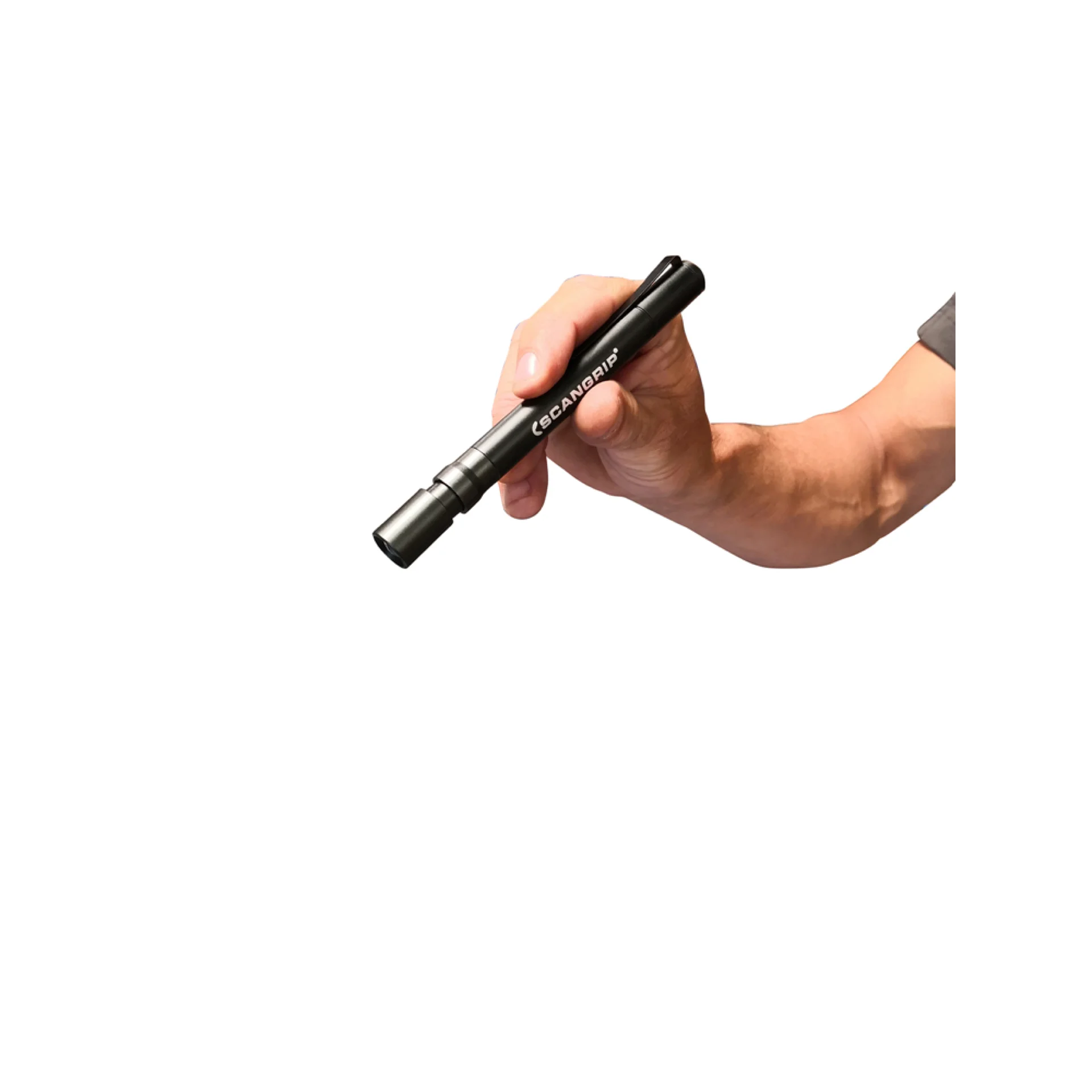 03-5131-2.webp (img_545_1)