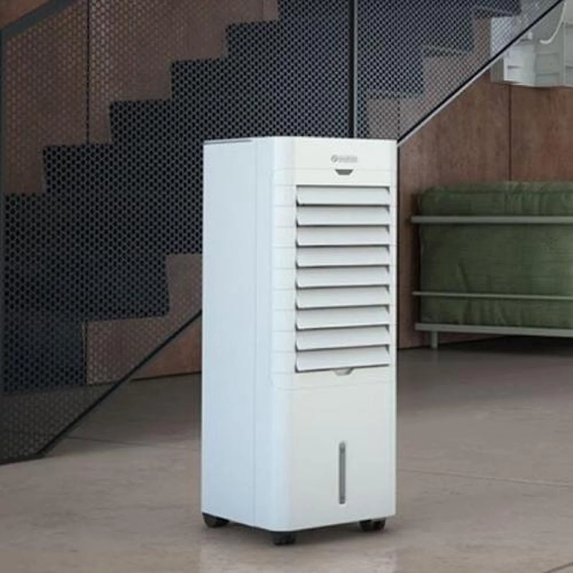 OS993103-3.webp (img_563_1)