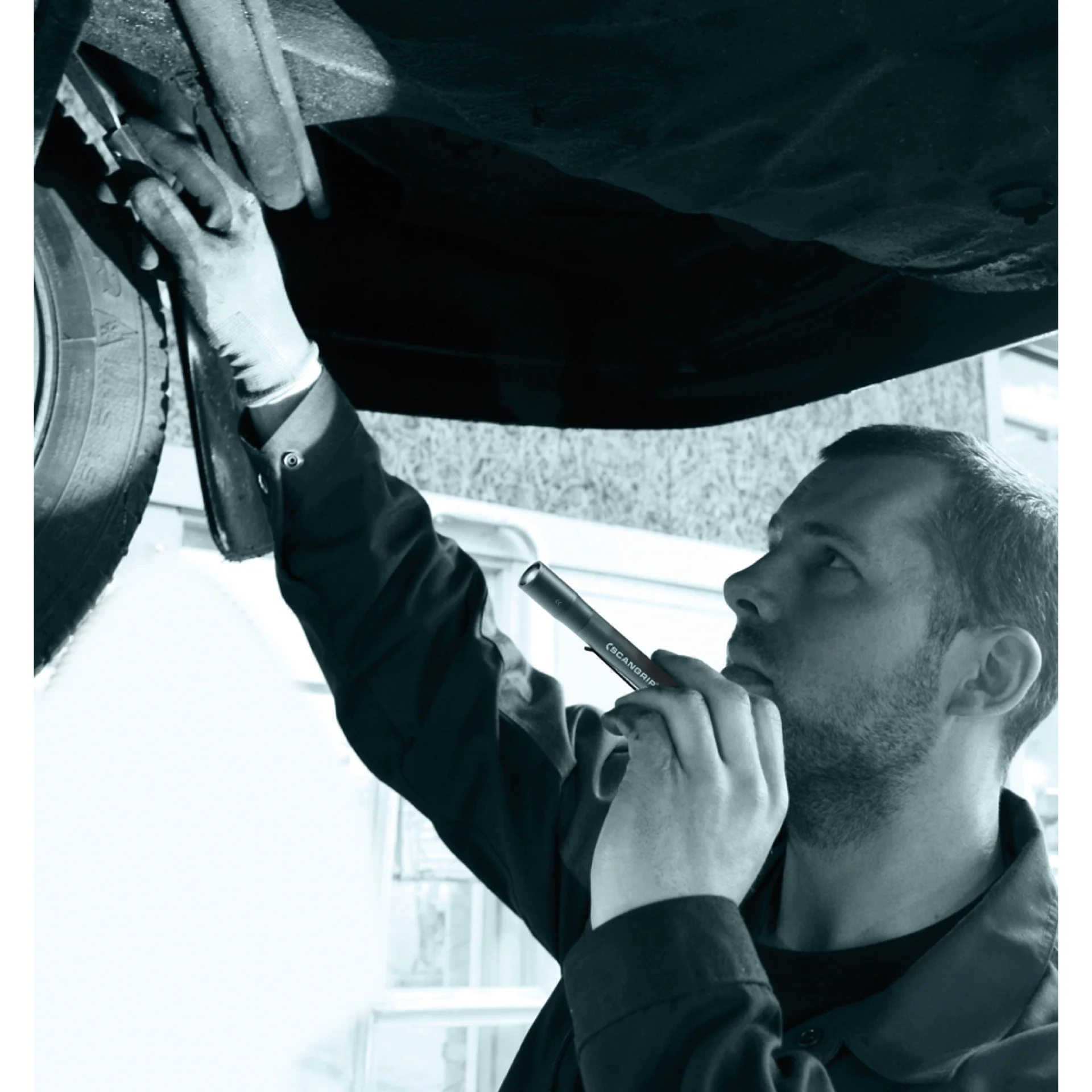 03-5136-2.webp (img_646_1)