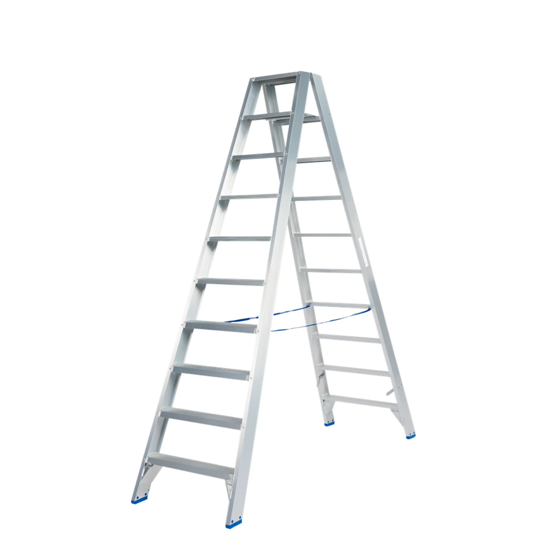 648450-dt10.webp (img_469_1)