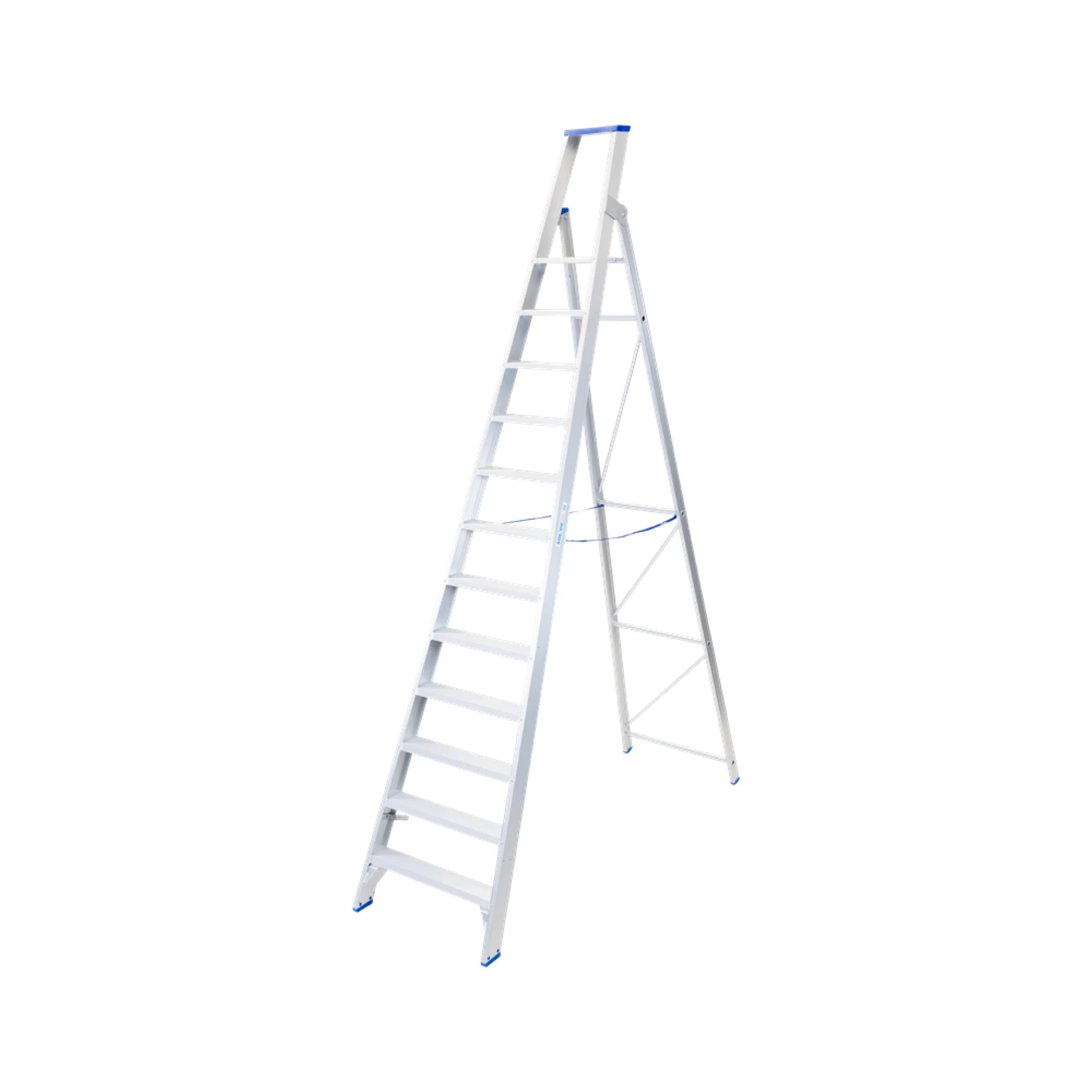 650677-pt12.webp (img_504_1)