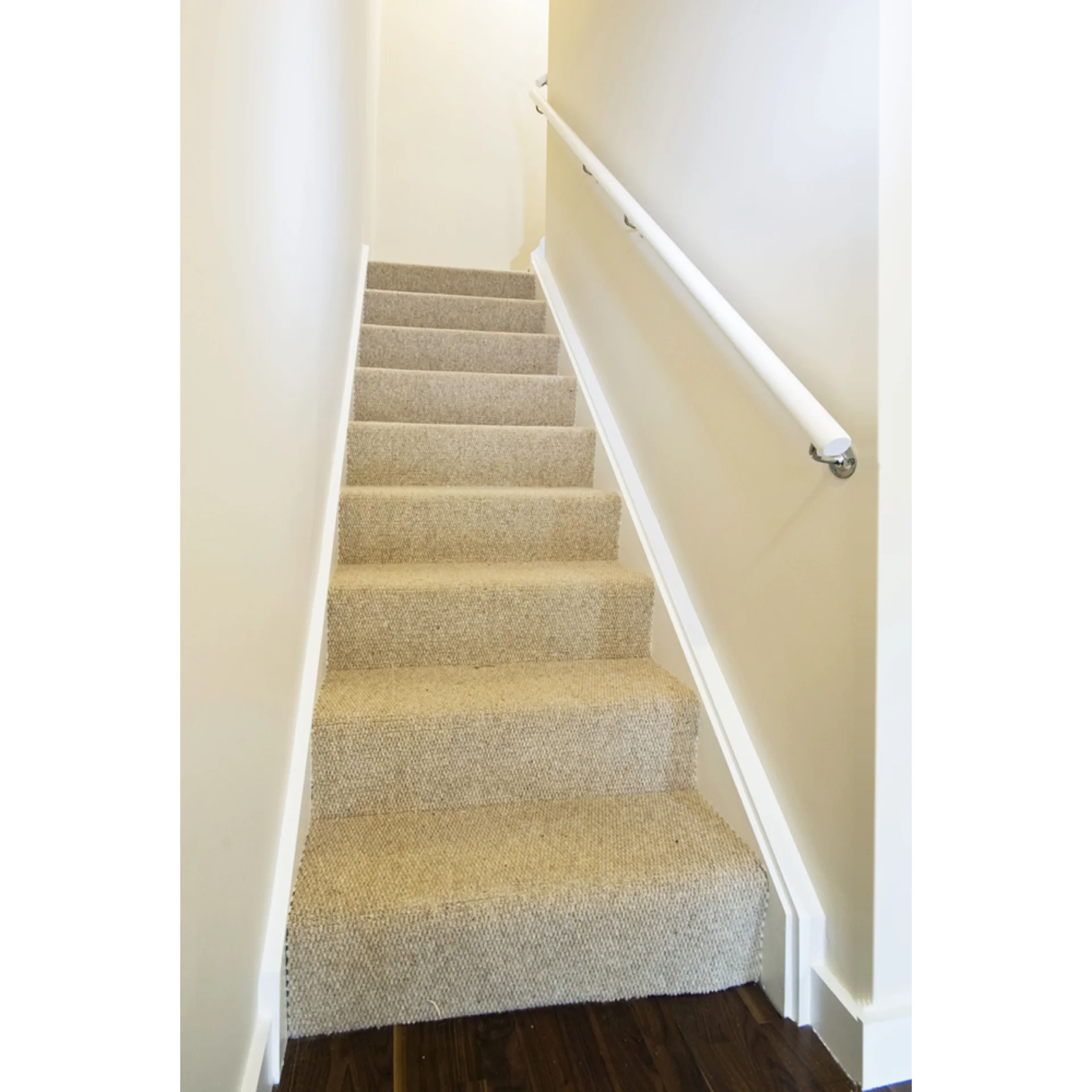 1039-Basicspray-49517581-RET.webp (img_31_3)