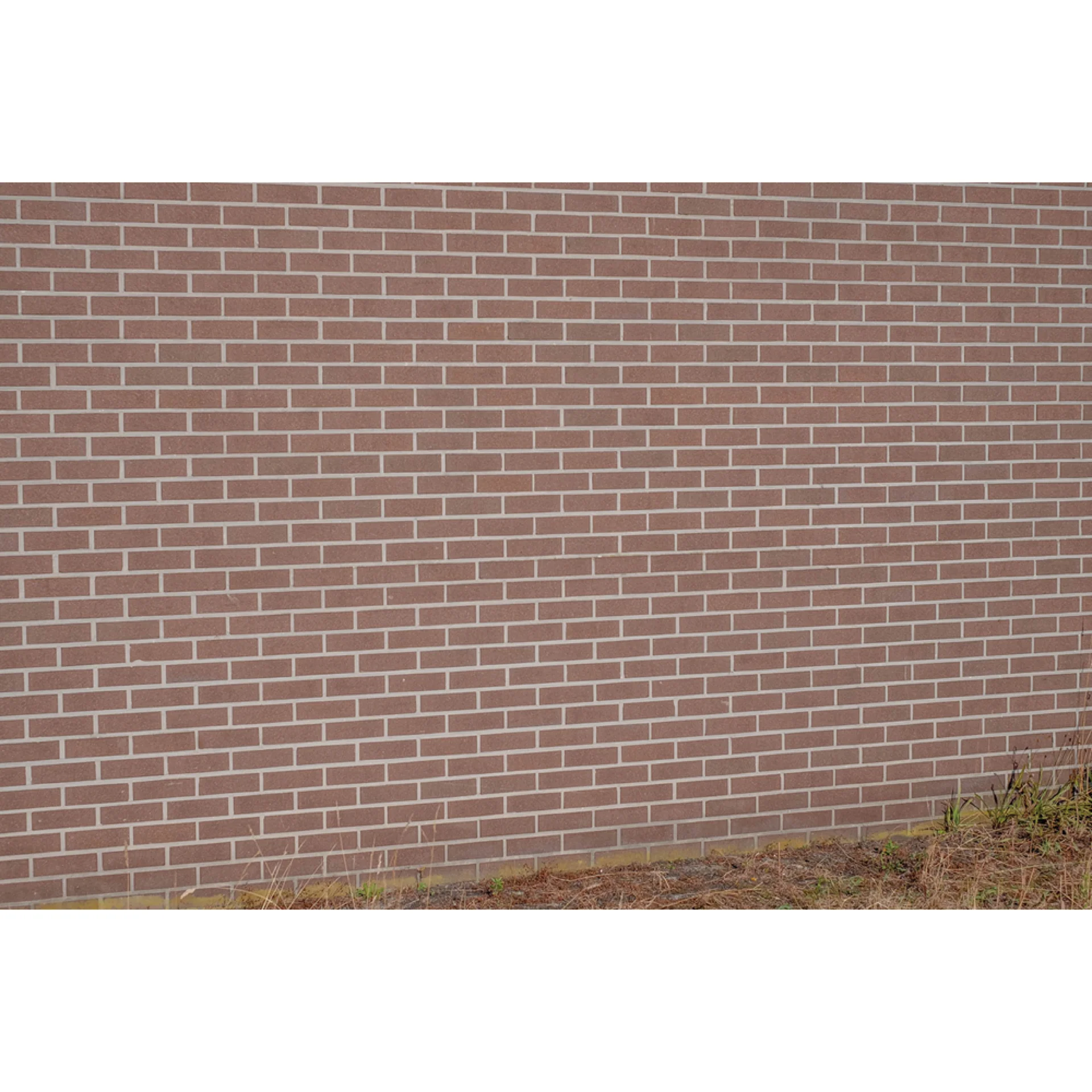 Drystone-Facade-XT2B7632.webp (img_40_2)