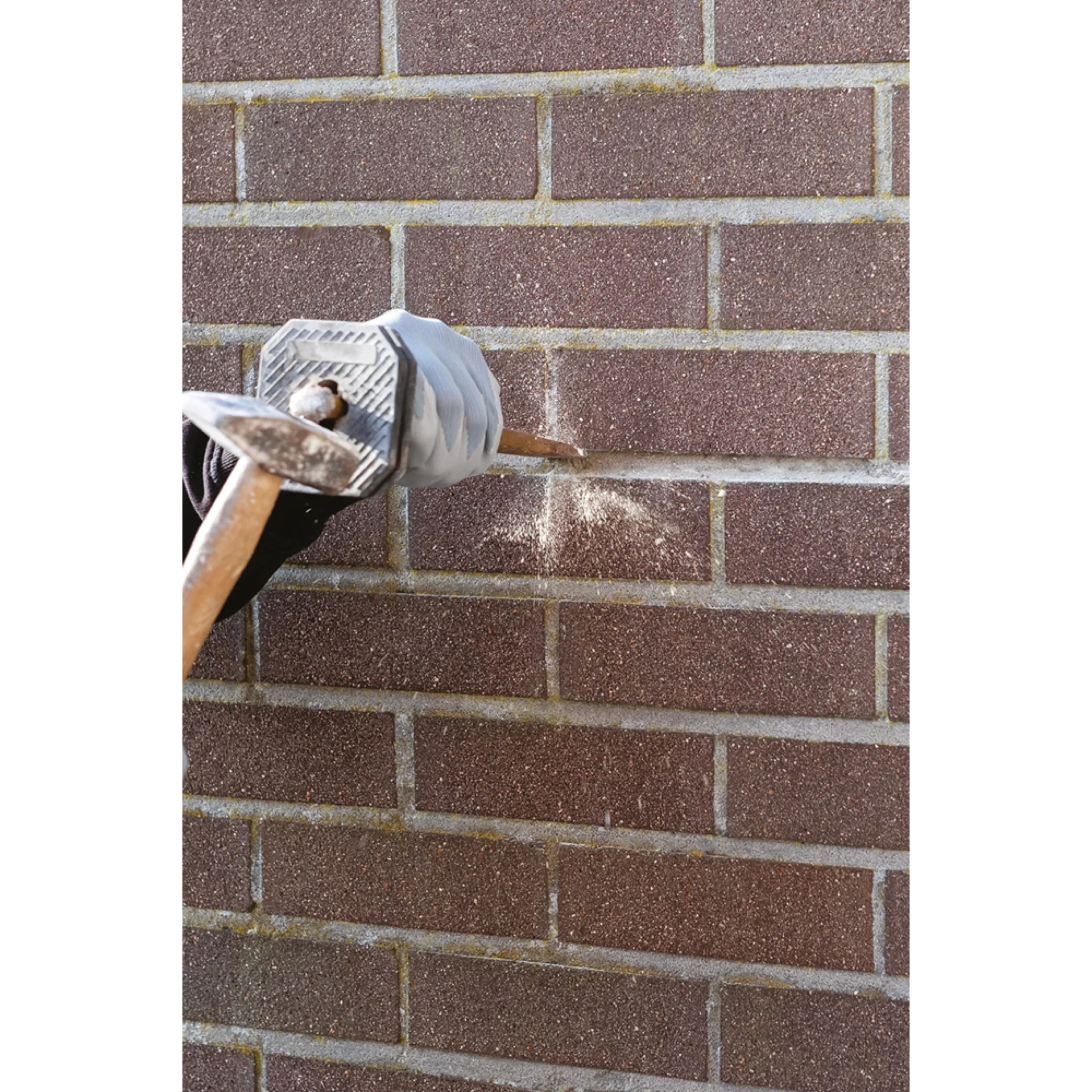 Drystone-Cement-XT2A6630.webp (img_43_1)