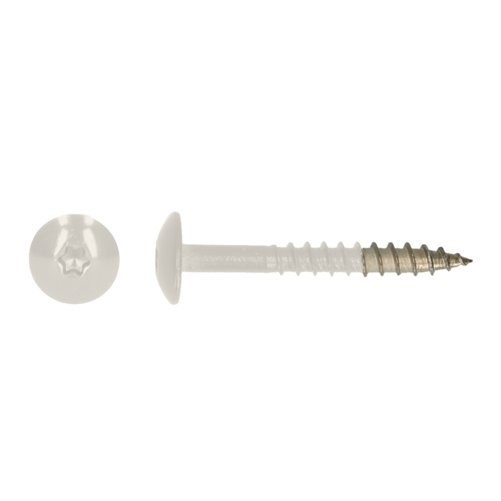 PLATBOLKOPSCHROEF TRESPA 4.8X 25.00 A2/RAL 9010 WIT REF:TRESP0A00025090103