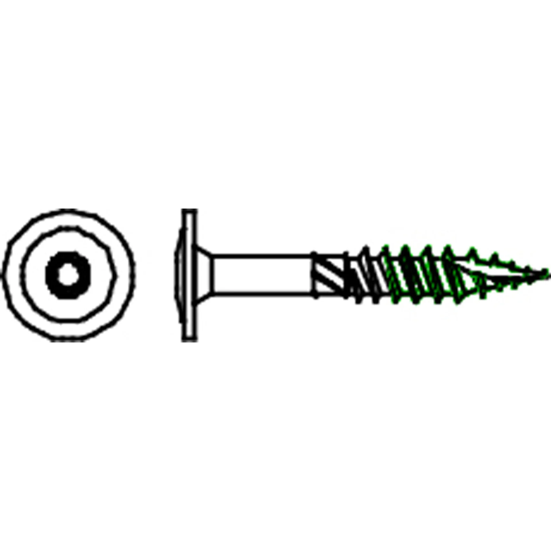 FLENSKOPHOUTSCHROEF 10X160 ZN/BL/6ST REF:MH1TTG100160Z PGB