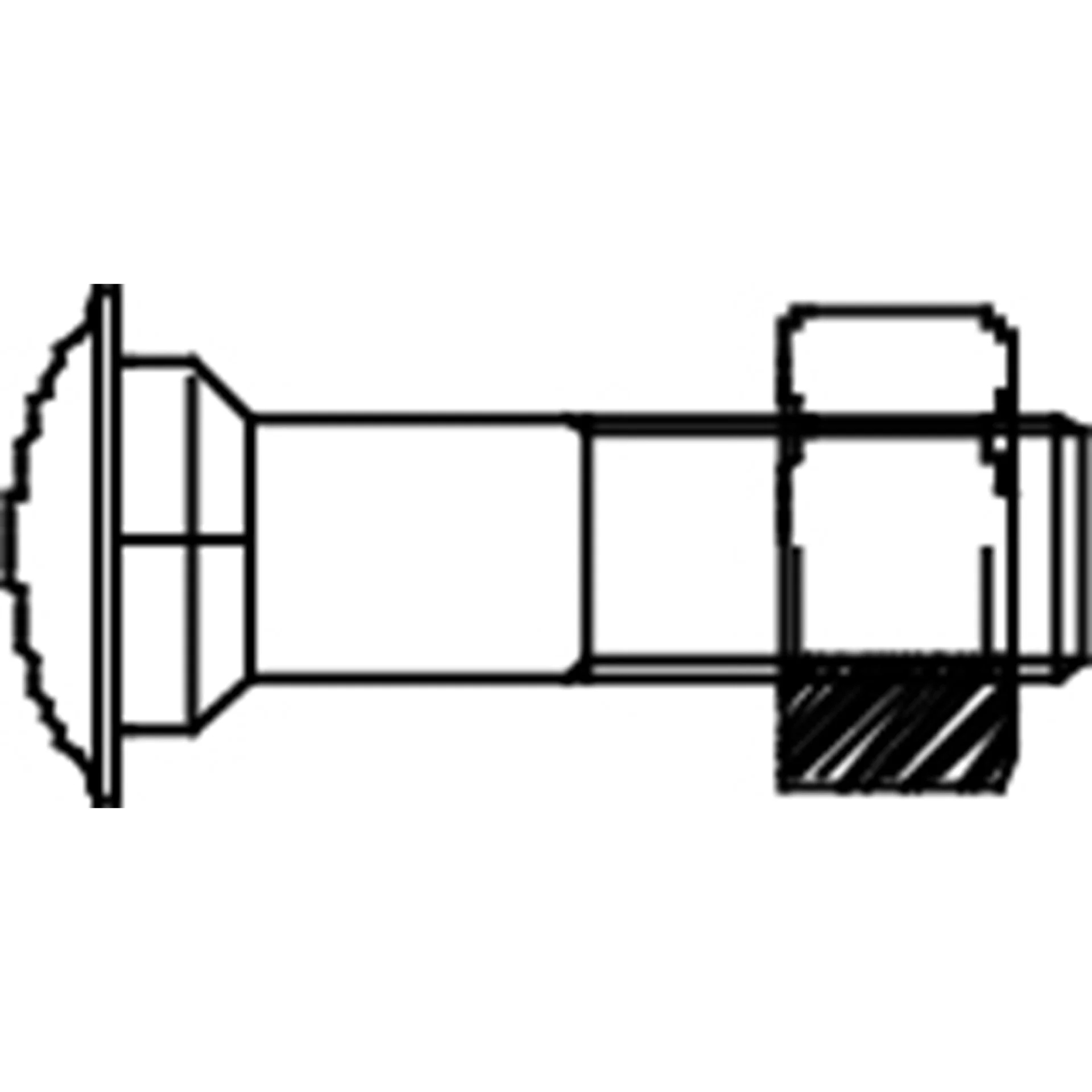 HOUTBOUT 4.8 D603/555 M 8X60 ZN/BL/6ST REF:MH1603080060Z PGB