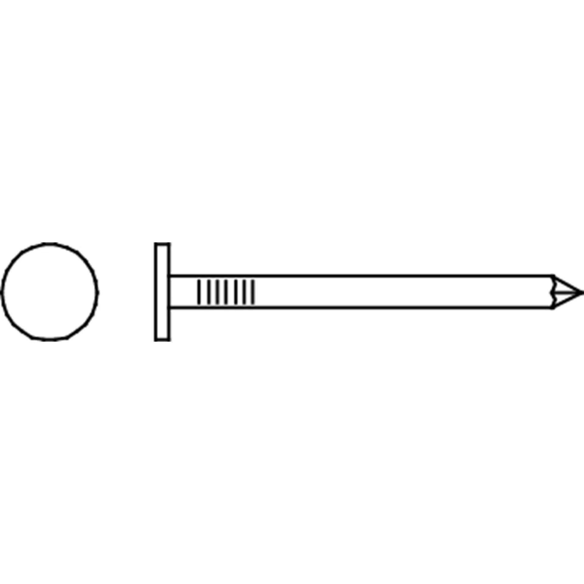 PLAFONNEERNAGEL 2X25 TVZ/BL./100 G REF:MN10PN020025VZ PGB