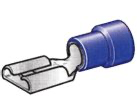 KABELSCHOEN 81164 - 10 STUKS / BLISTER REF:250041-P1 PACAUTO
