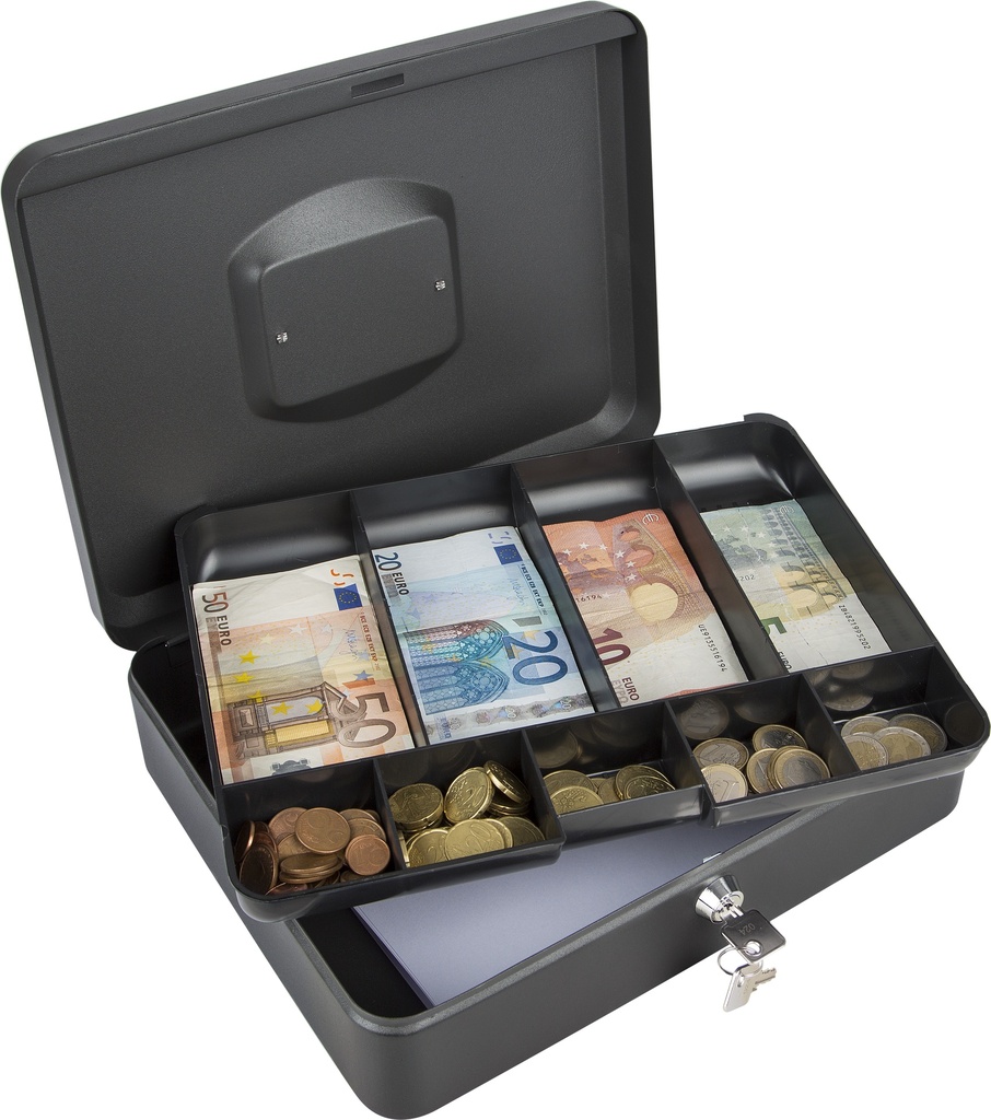 GELDKOFFER 9X30X24CM REF:G830 PRACTOHOME