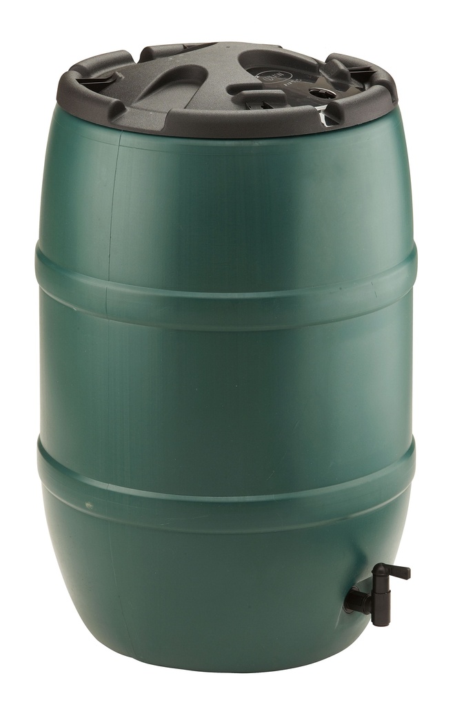 REGENTON CLASSIC 120L + KRAANTJE REF:PR120 GALICO