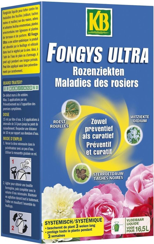 KB FONGYS ULTRA 0.25L REF:TROC025 KB