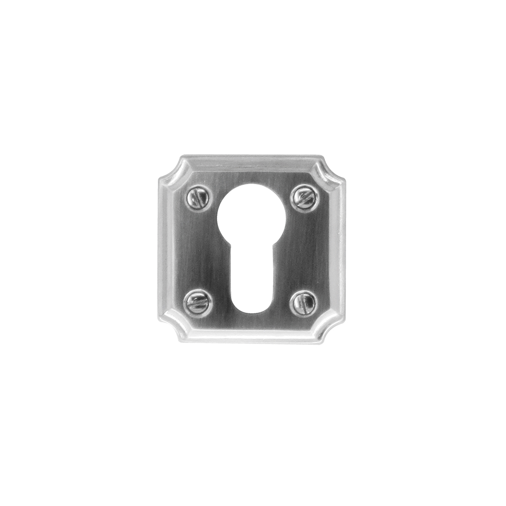 CYLINDERPLAATJE RUBENS INOX LOOK REF:1137001
