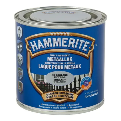 HT HOOGGLANSLAK ZILVERGRIJS 250 ML REF:HT5082242 HAMMERITE