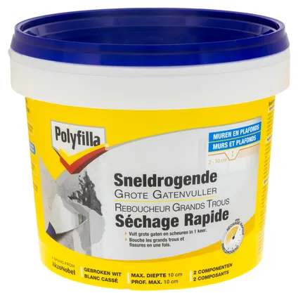 PF SNELDROGENDE GROTE GATVUL 2 X 500 G REF:PF5209246 POLYFILLA
