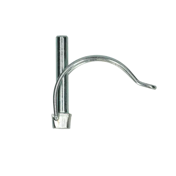 BORGPEN VOOR BUIS Ø6,00X45 ZN REF:0BRGPB001006000455 PGB