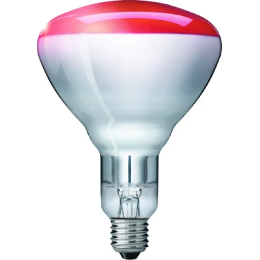 INFRA ROOD LAMP 250W REF:38204700