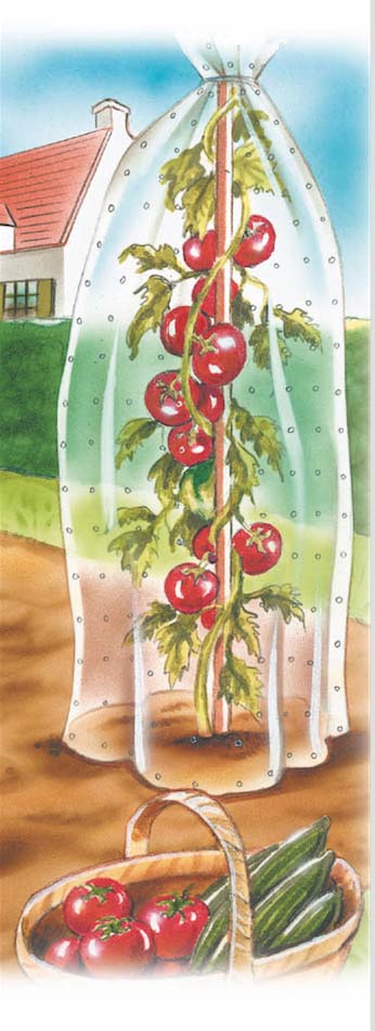 TOMATENHOES 0.65X10M REF:7205.4510