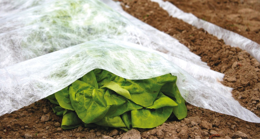 GROEIVLIES 1.60X10M REF:7205.8500