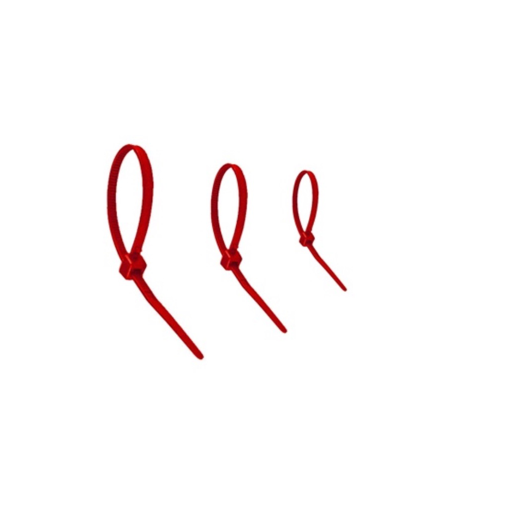 WT KABELBINDER 6.6 PA 4.80X 300 -YY-100ST-ROOD REF:BKRORWT-0480300-0100 WEDI