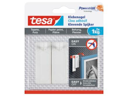TESA KLEVENDE SPIJKER GEVOELIGE OPPERVLAKKEN 1KG REF:TES77773-00000-00 TESA CONSUMER