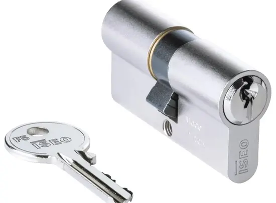 F5 CILINDER 40-30 KNOP 40 REF:825940309 ISEO