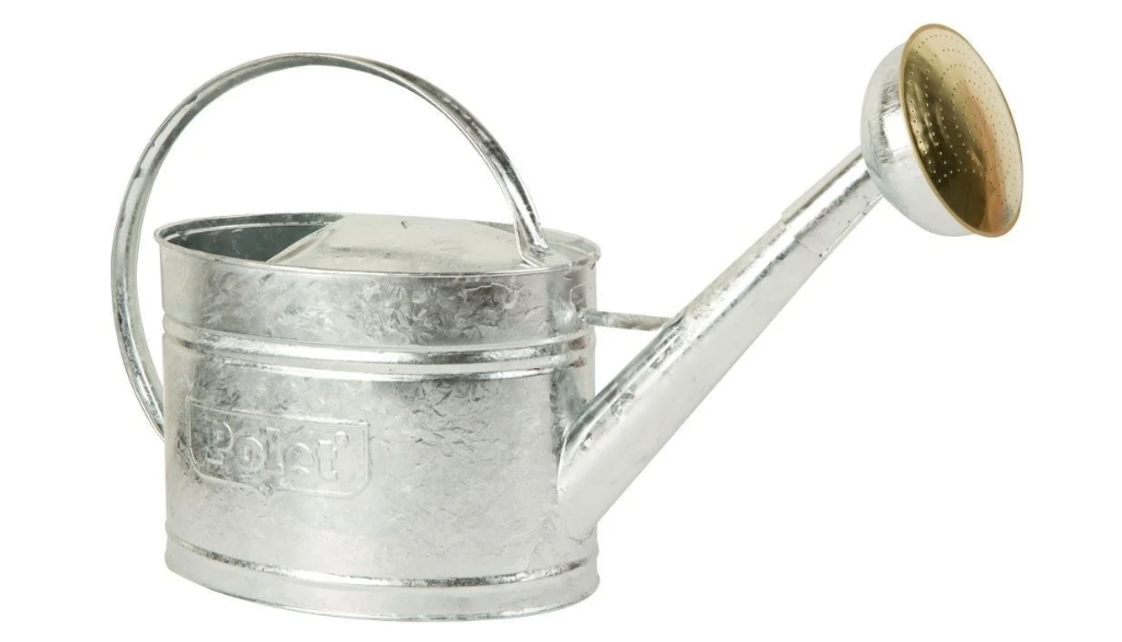 GIETER 10L GEGALVANISEERD-0,45MM REF:790110 POLET