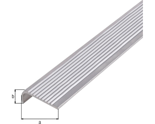TRAPNEUS ALUMINIUM NATUUR 25x6x2/2M REF:470692 ALBERTS