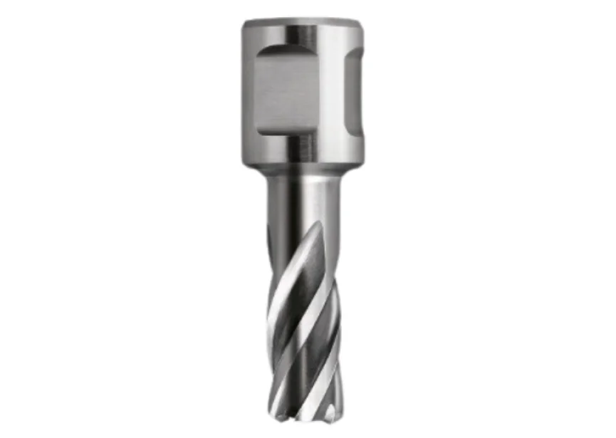 FREES HSS 12 X 30 MM REF:ZHSS012 ZECO