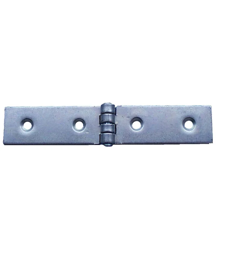 LINTSCHARNIEREN VERZINKT 22X120MM REF:1-6112-22120