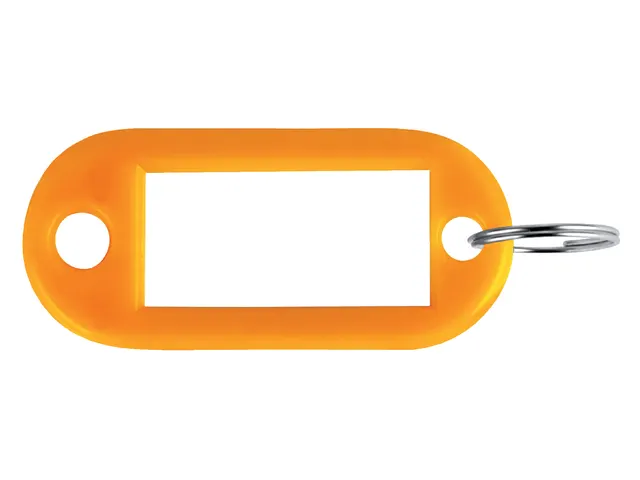SLEUTELHANGERS RING+OOG ORANJE PVC REF:1-1956-11 PARDAEN