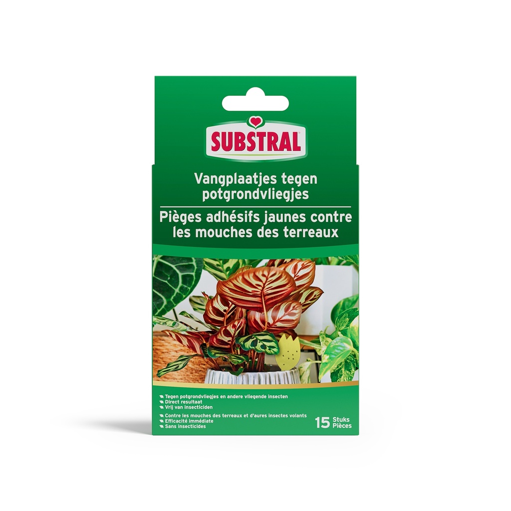 SUBSTRAL VANGPLAATJES TEGEN POTGRONDVLIEGJES REF:SGVPV015 SUBSTRAL