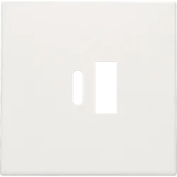 NIKO AFWERKINGSSET VOOR DUBBELE SMART USB-A EN USB-C LADER WIT REF:NI-101-68002 NIKO