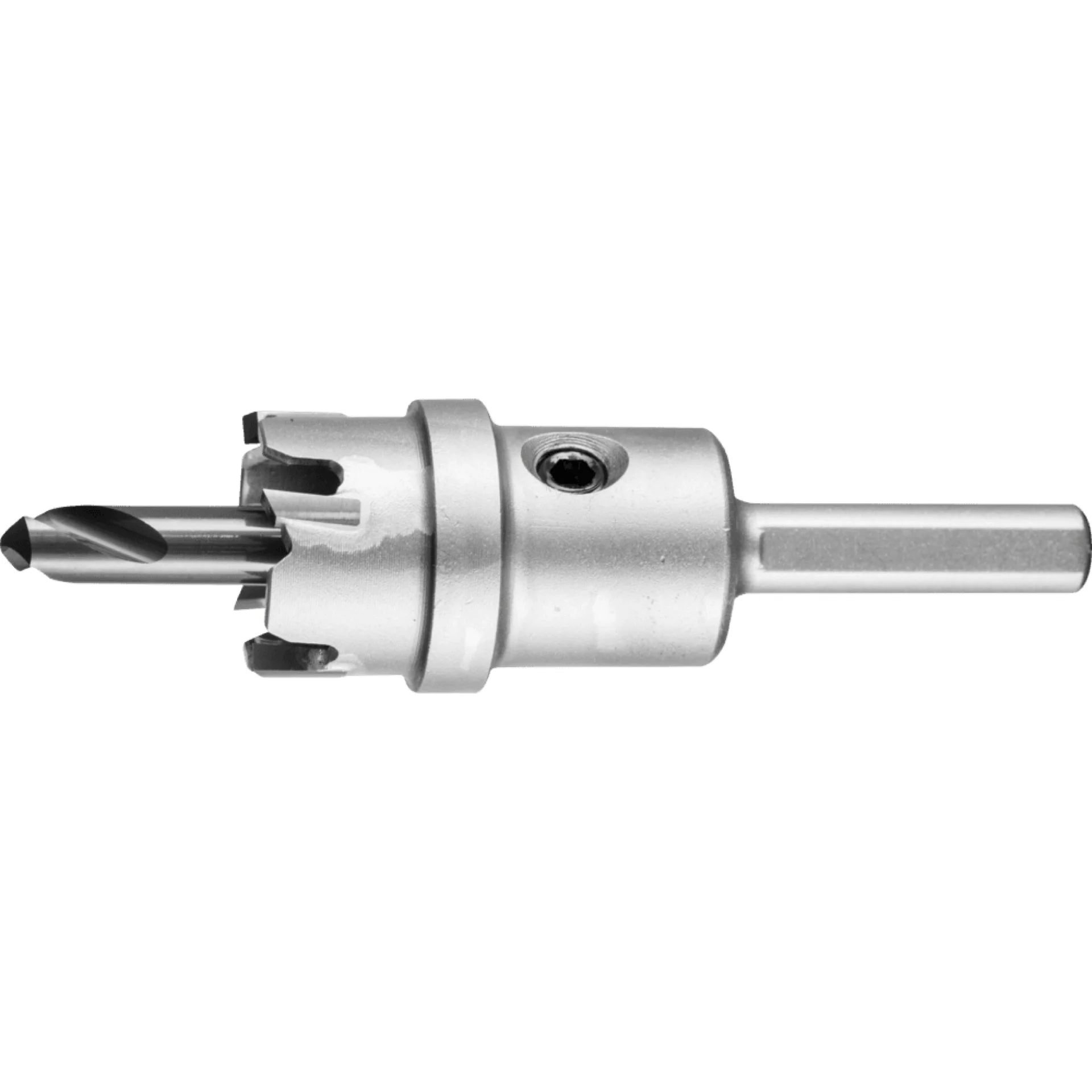 HM-GATZAAG LOS HM 2008 REF:25402008 PFERD