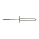 BLINDKLINKNAGEL D.7337C GK 4,80X24 AL/ST REF:07337CR01004800243 PGB